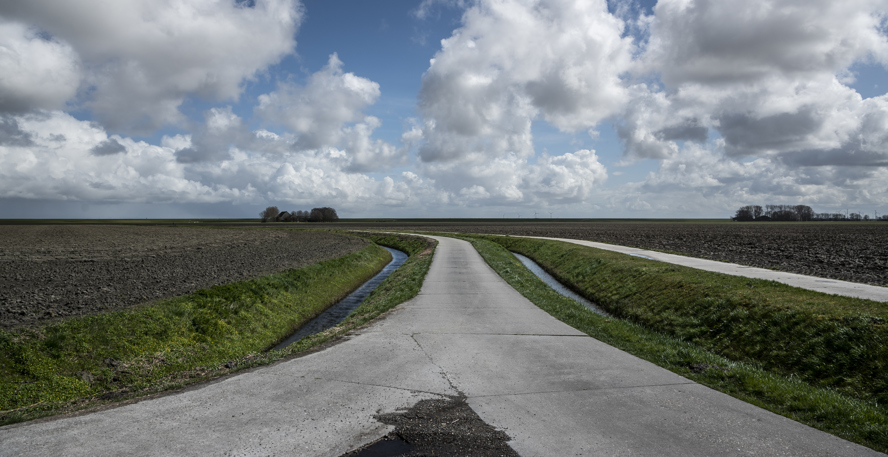 Twee landwegen komen samen tussen weilanden in het Groninger landschap