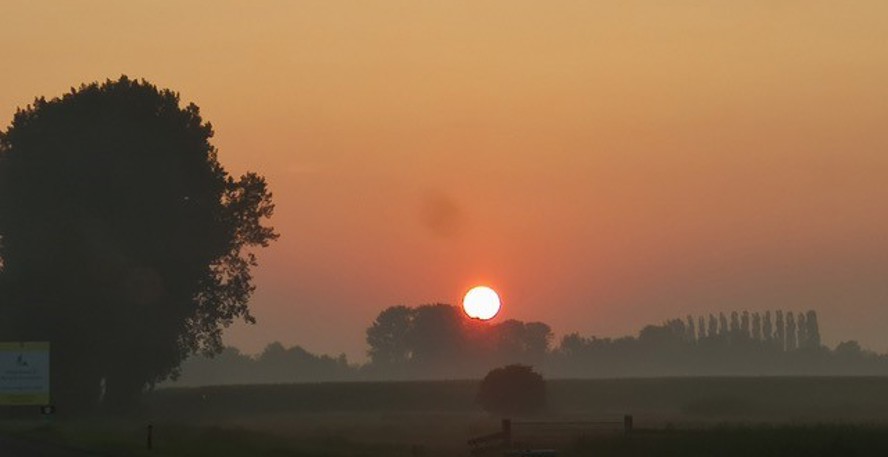 Ondergaande zon boven een vlak landschap met bomen op de achtergrond