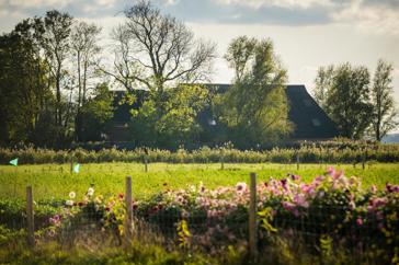 Boerderij aan het rand van een weiland met roze bloemen langs het hek.