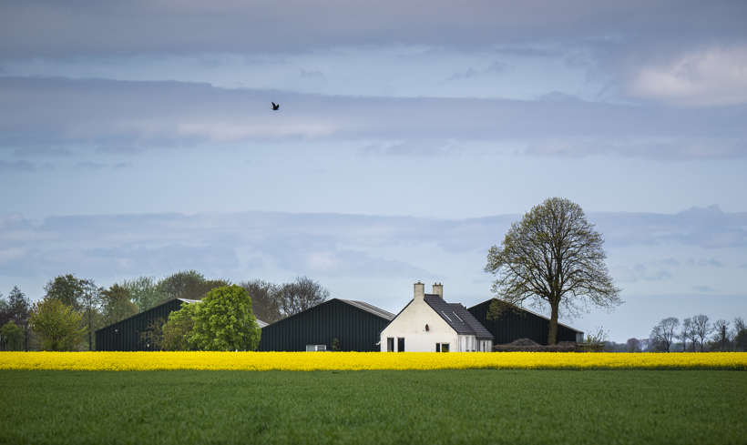 Pand waar wonen en werken wordt gecombineerd. Met een veld en een agrarisch bedrijf met woning erbij.