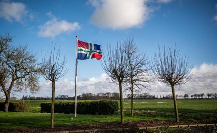 Een wapperende vlag van Groningen naast groene weilanden. 