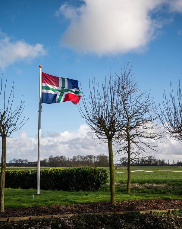 Een wapperende vlag van Groningen naast groene weilanden. 