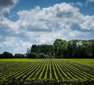 Aan de horizon staat een boerderij aan de rand van een groot, groen akker.